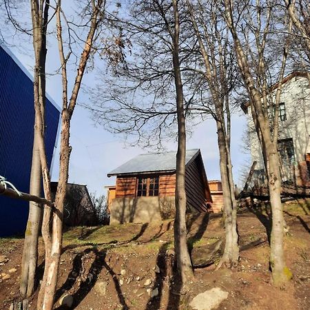 Cabana Los Morros Ushuaia Ngoại thất bức ảnh